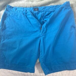 2 J. Crew shorts Stanton